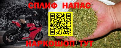 стафф Лесосибирск