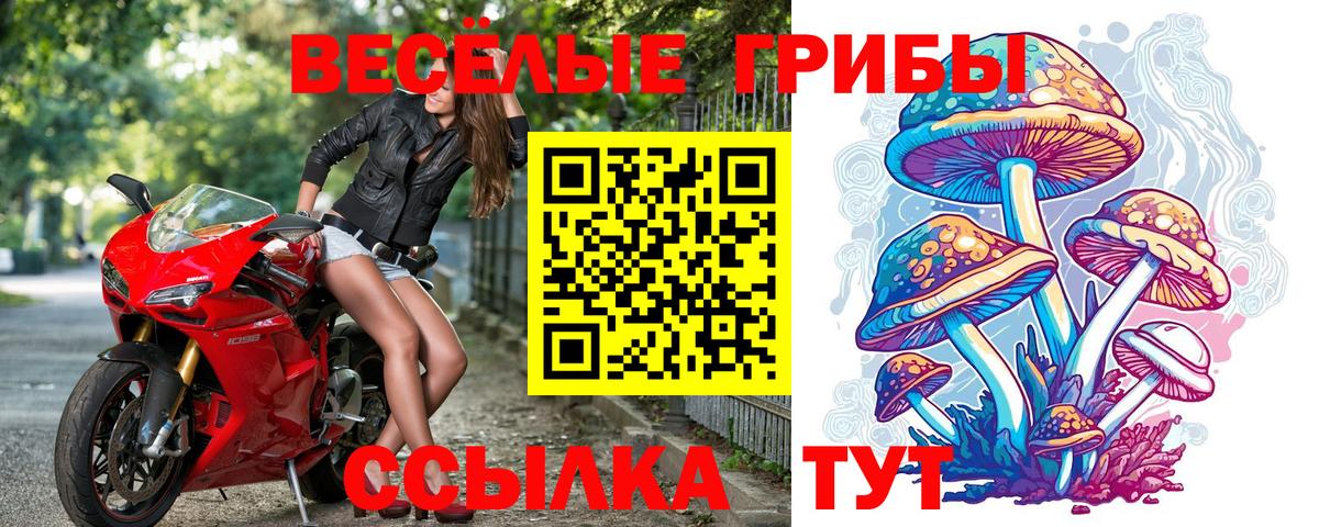 Тверь  Галлюциногенные грибы GOLDEN TEACHER  Вход с VPN 