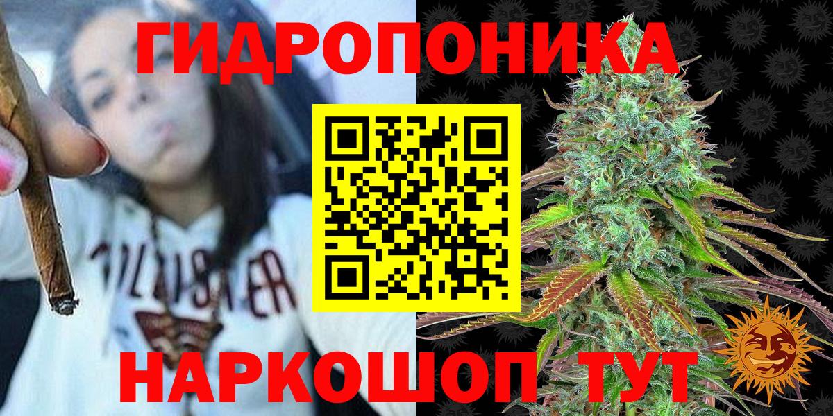 Марихуана White Widow Тверь