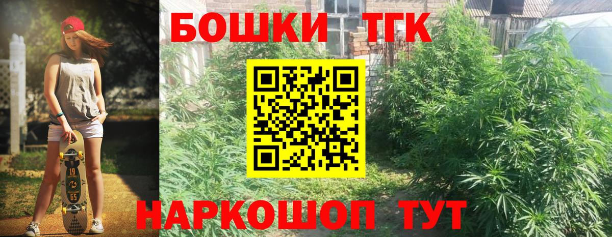 Конопля OG Kush  Канабис планчик  Тверь  Вход с VPN  МАРИХУАНА семена 